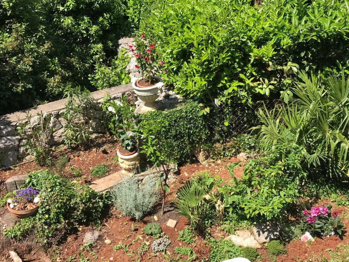 Apartment Aquamarin, Blizu Mora S Pogledom Na More, Za Do 6 Osoba มาลินสกา ภายนอก รูปภาพ